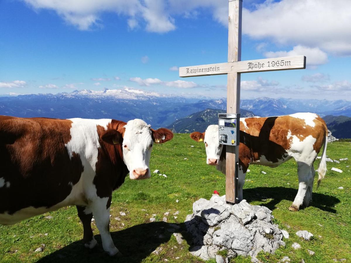 Ferienwohnung Fuchs Bad Mitterndorf Bagian luar foto